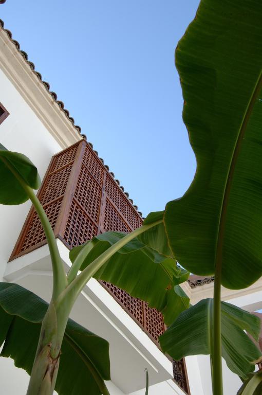 Riad Up Marrakesz Zewnętrze zdjęcie
